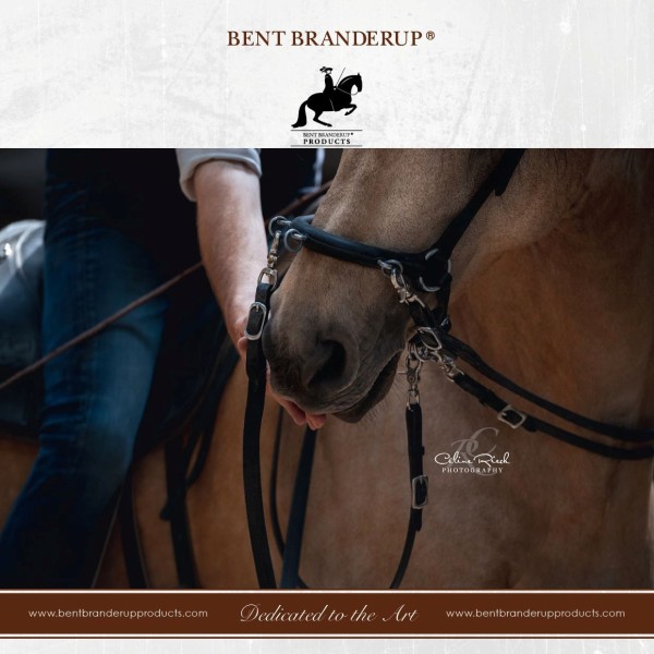 SET Bent Branderup® Leder-& Gurtzügel
