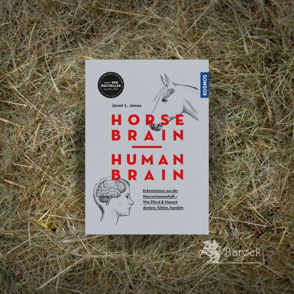 Horse Brain, Human Brain v. J. L. Jones